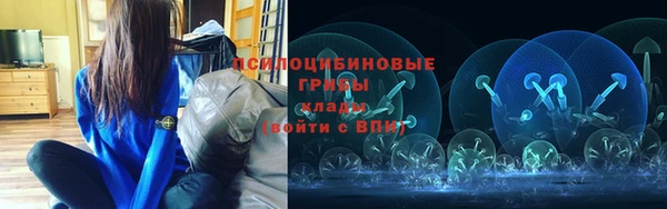 ПСИЛОЦИБИНОВЫЕ ГРИБЫ Богородск