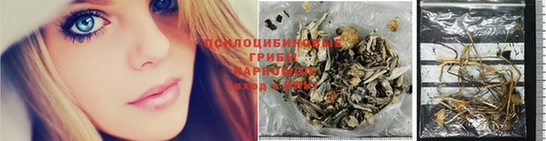 метадон Богородицк