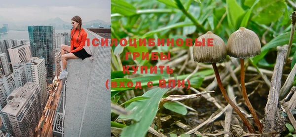 метадон Богородицк