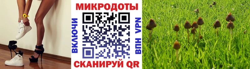 MEGA ТОР  Красногорск  Галлюциногенные грибы мухоморы 